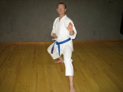 karate fotos 003