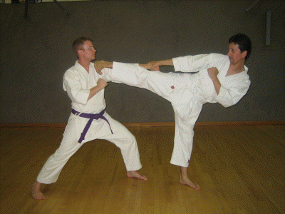 karate fotos 098