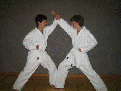 karate fotos 124